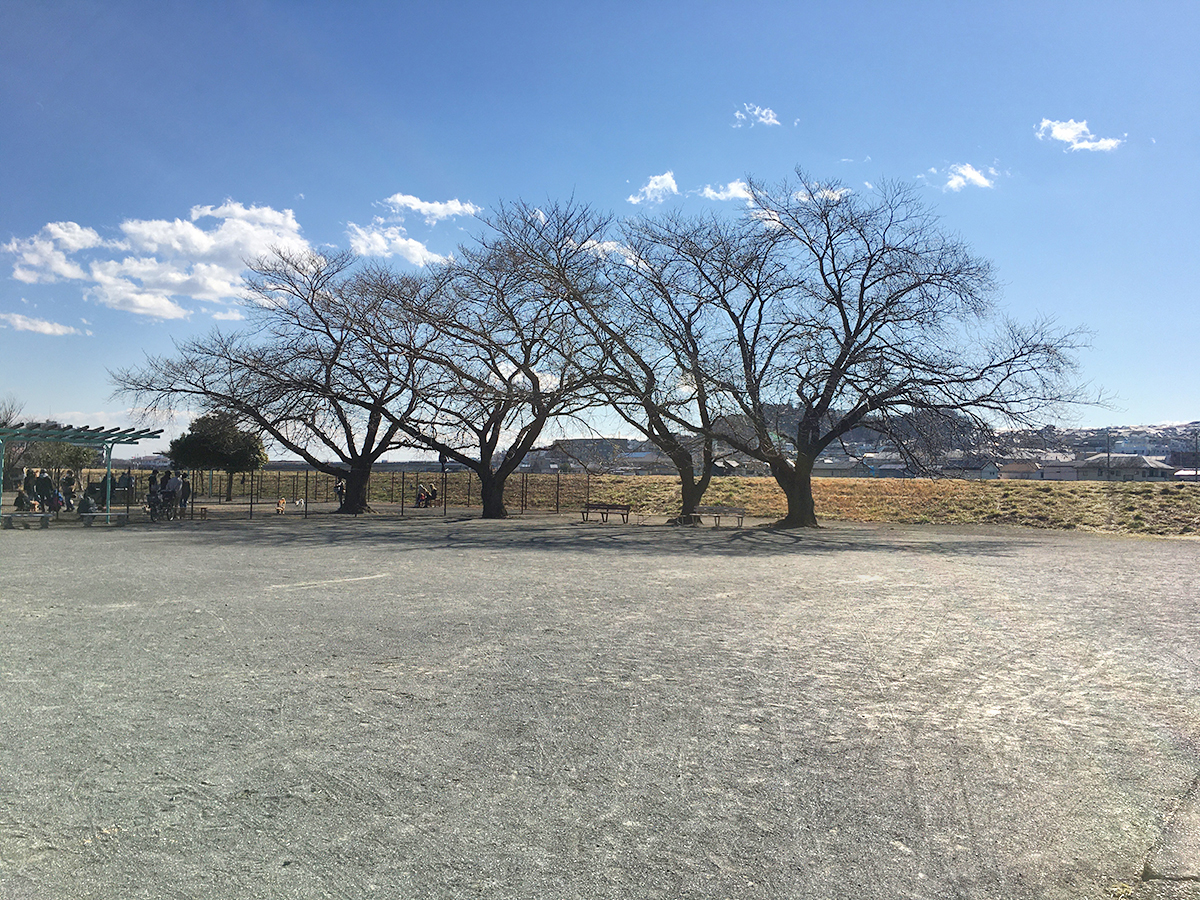 駒形公園 日野市に流れる浅川の川風が心地いい公園