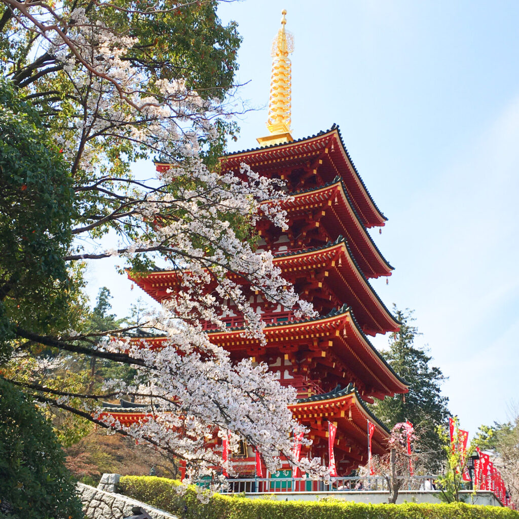 22年保存版 日野市の桜スポット 定番から穴場まで9選 周辺のお店や駐車場情報も ひのひの 日野市の楽しい情報サイト