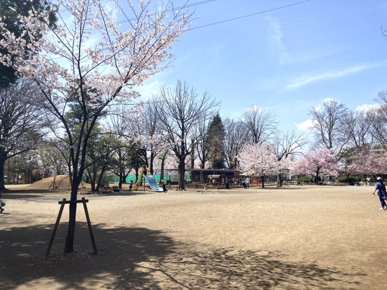 【昭島市 昭和公園】駐車場完備！遊具広場・蒸気機関車の展示・ミニ動物園！桜スポットとしても！ - ひのひの｜東京都日野市の楽しい情報サイト